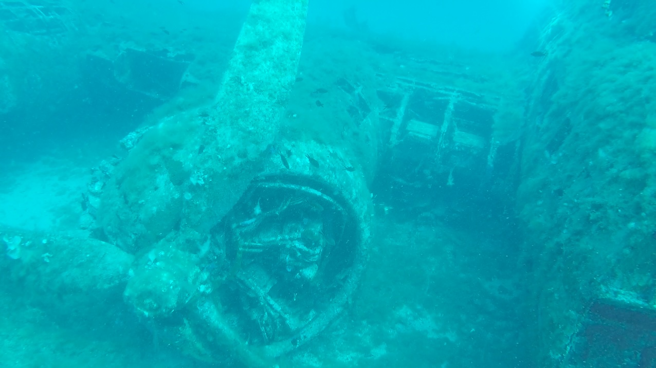 B17_Calvi photo 2