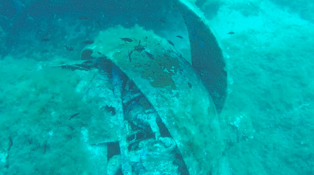 B17_Calvi photo 4