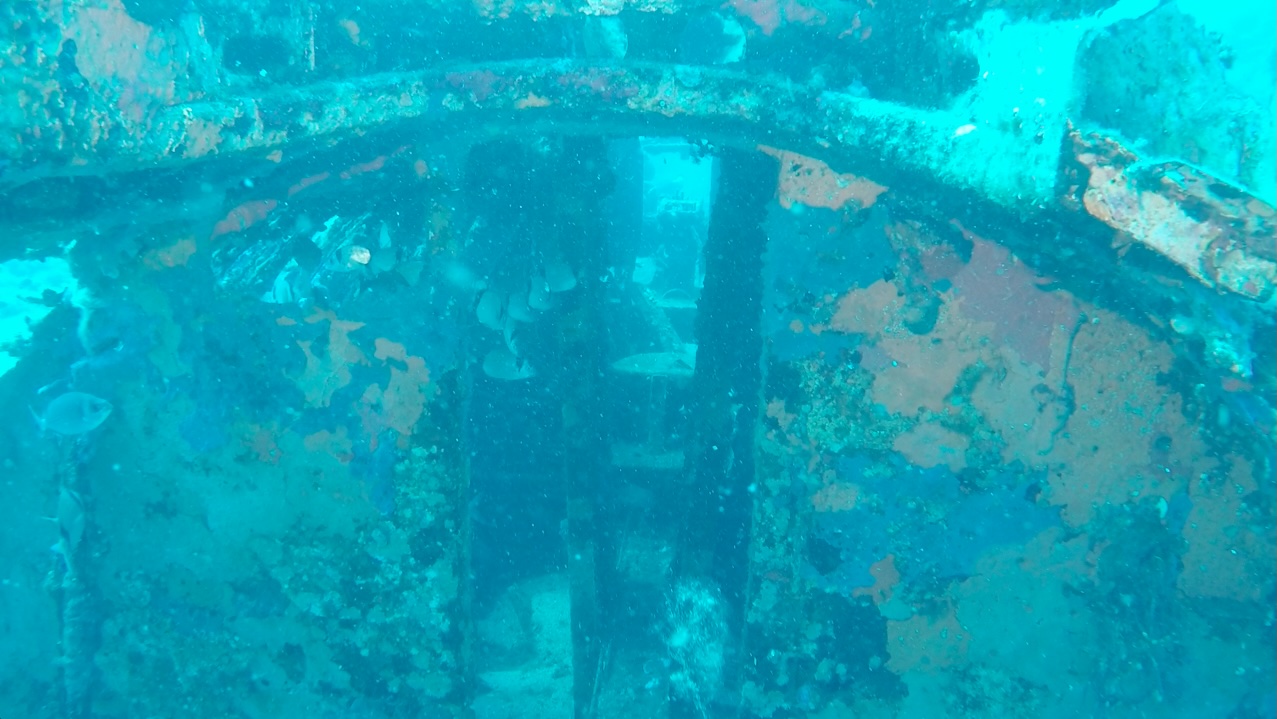 B17_Calvi photo 9