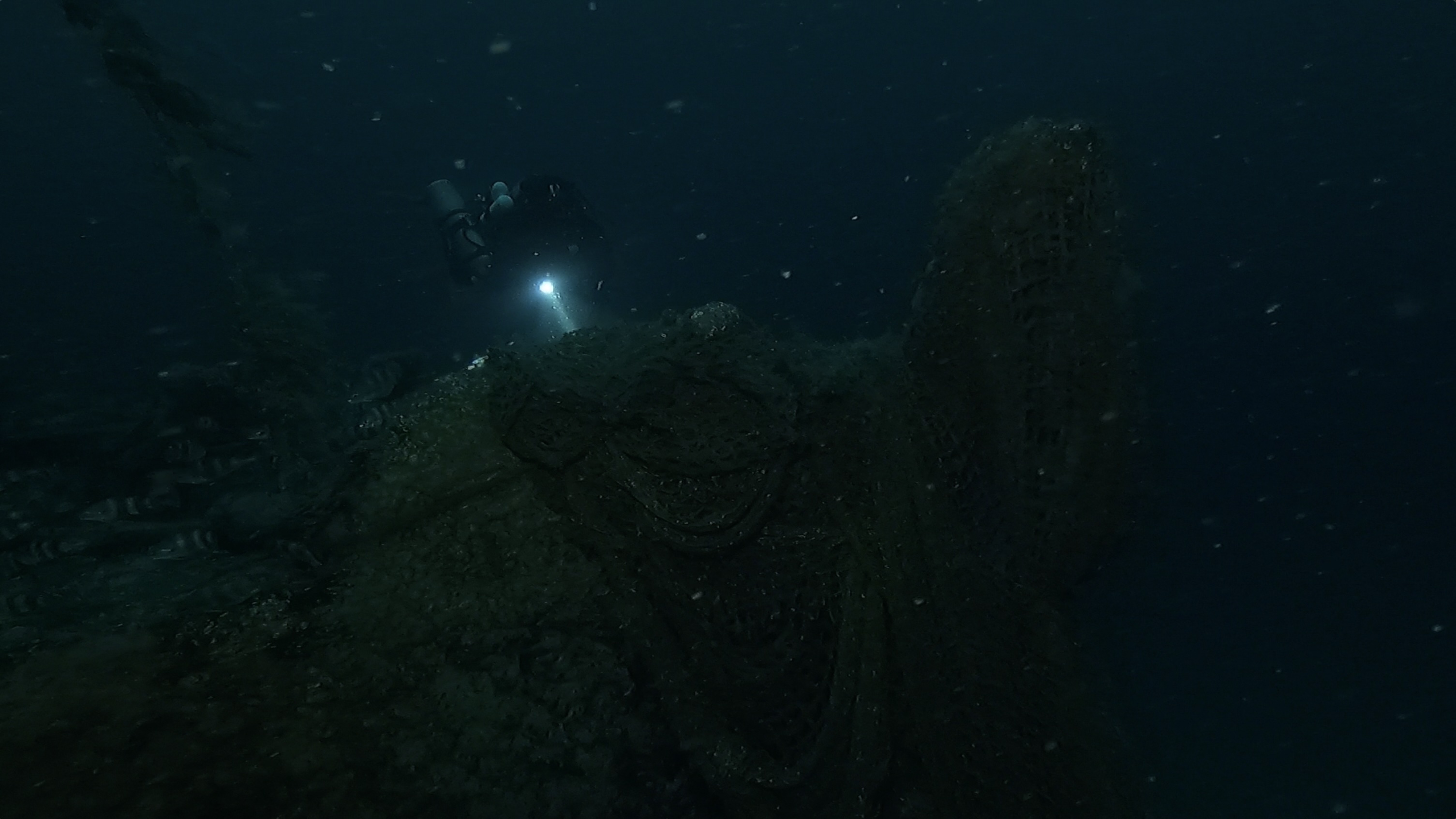 Balena photo 1