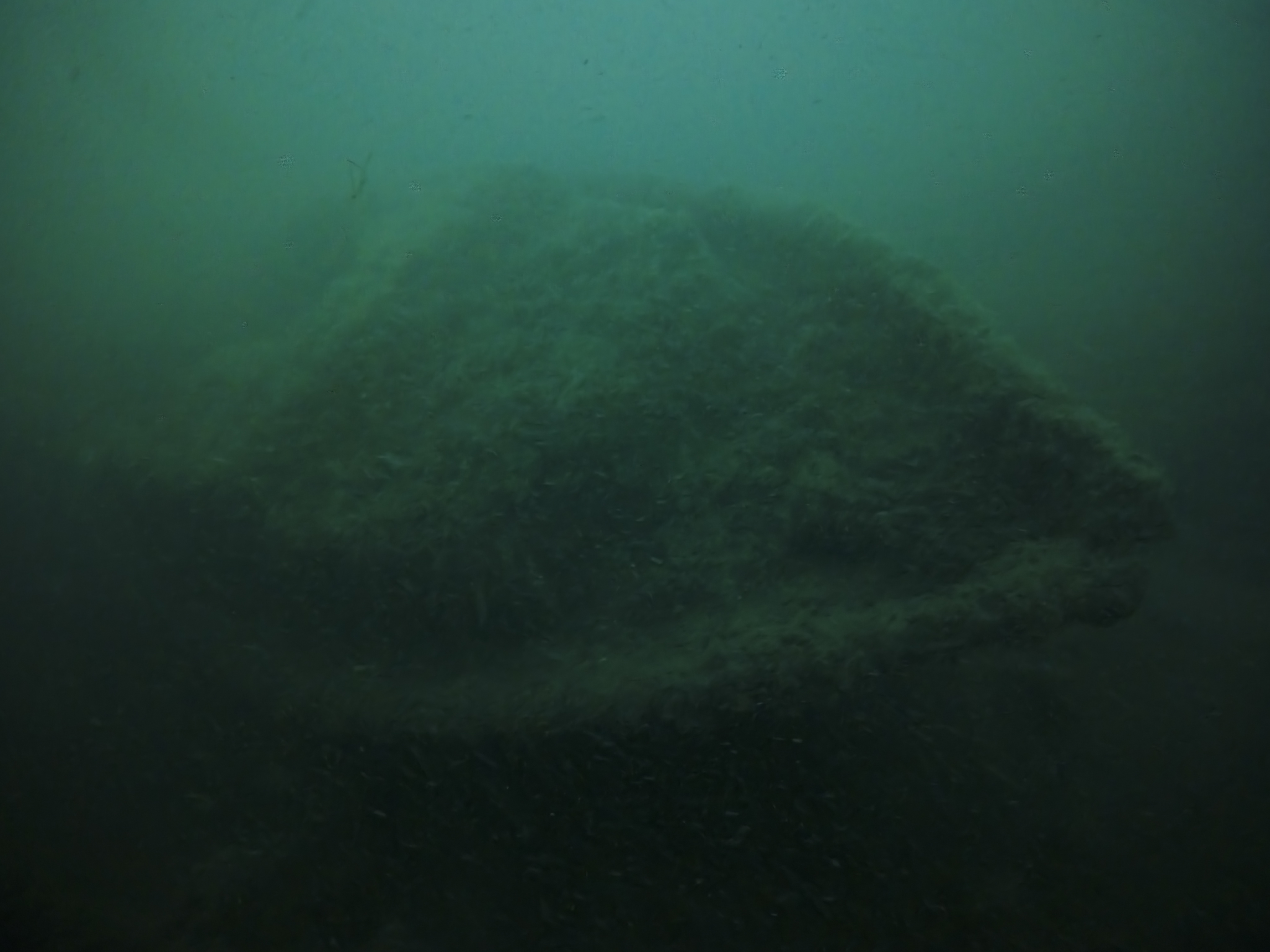 Chrisfremick photo 2