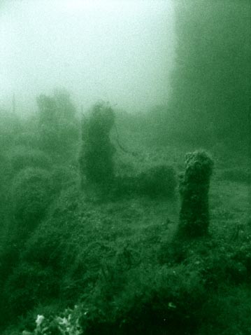 Cotre Bleu photo 2