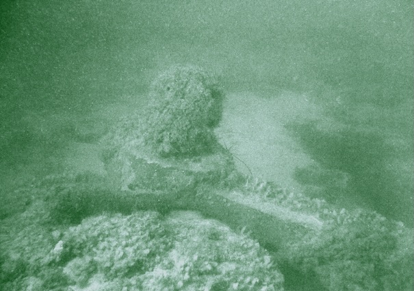 Roche photo 2